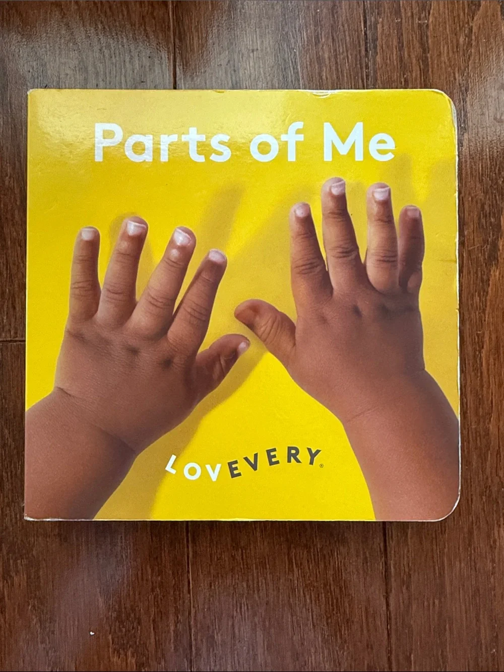 Lovevery The Senser 5-6 Month Play Kit